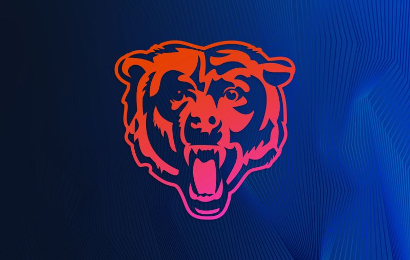 Bears Win Clouds 2024 Offseason